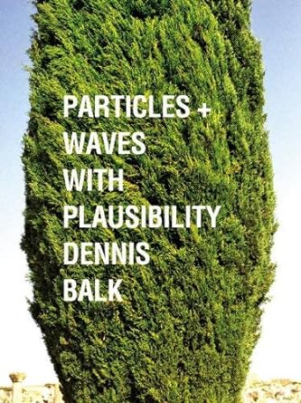 In Particles + Waves with Plausibility,  Dennis Balk